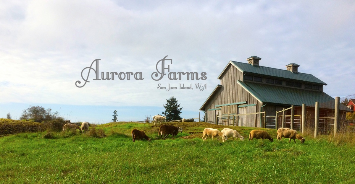 aurora farms